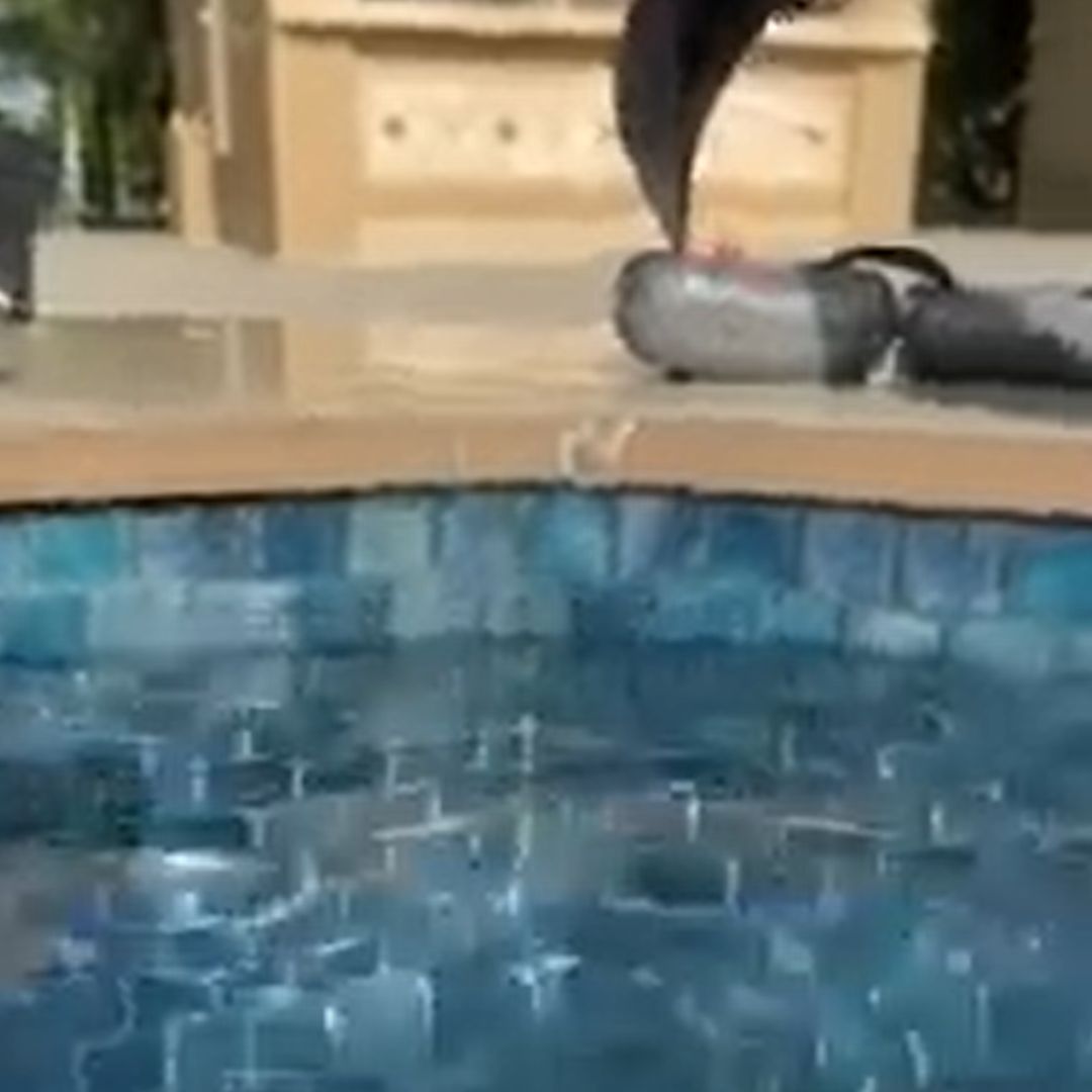 SPA JET LINE LEAK INSPECTION